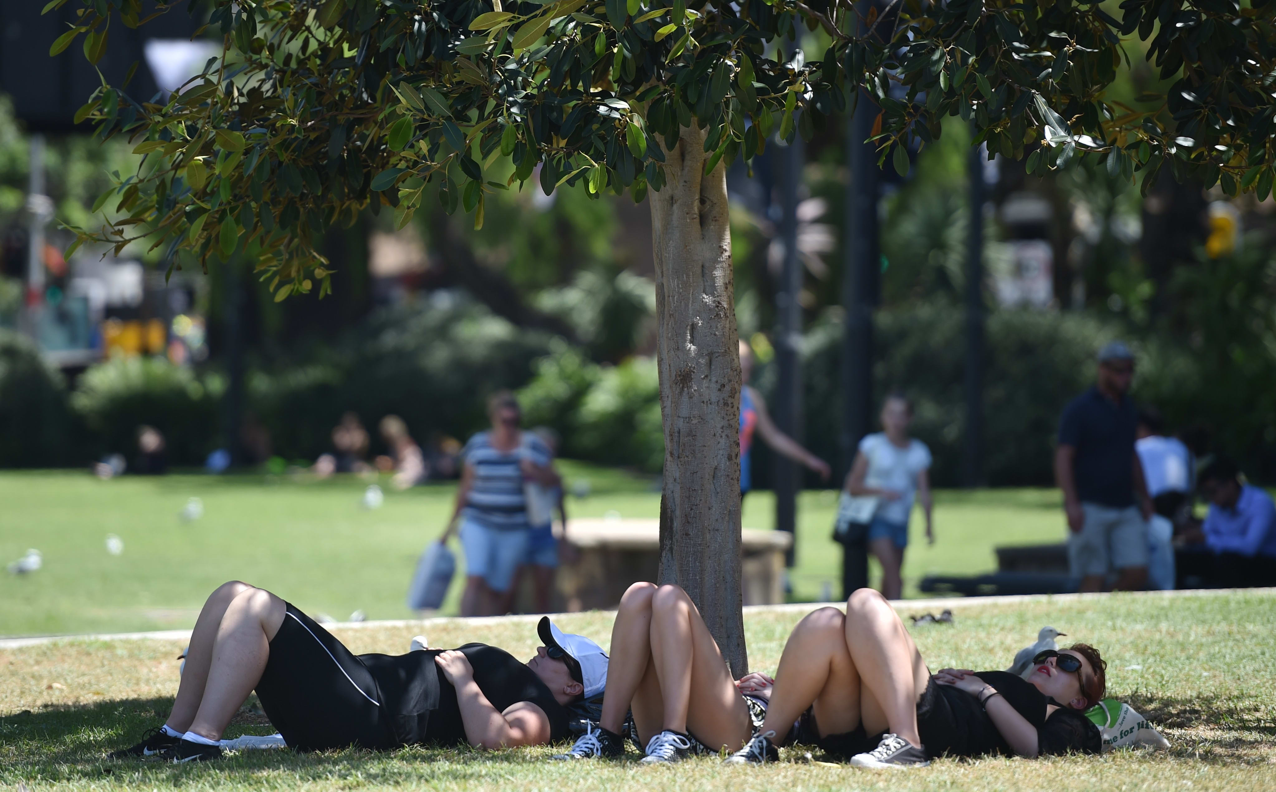 Temperatures in New South Wales could reach 47°C.