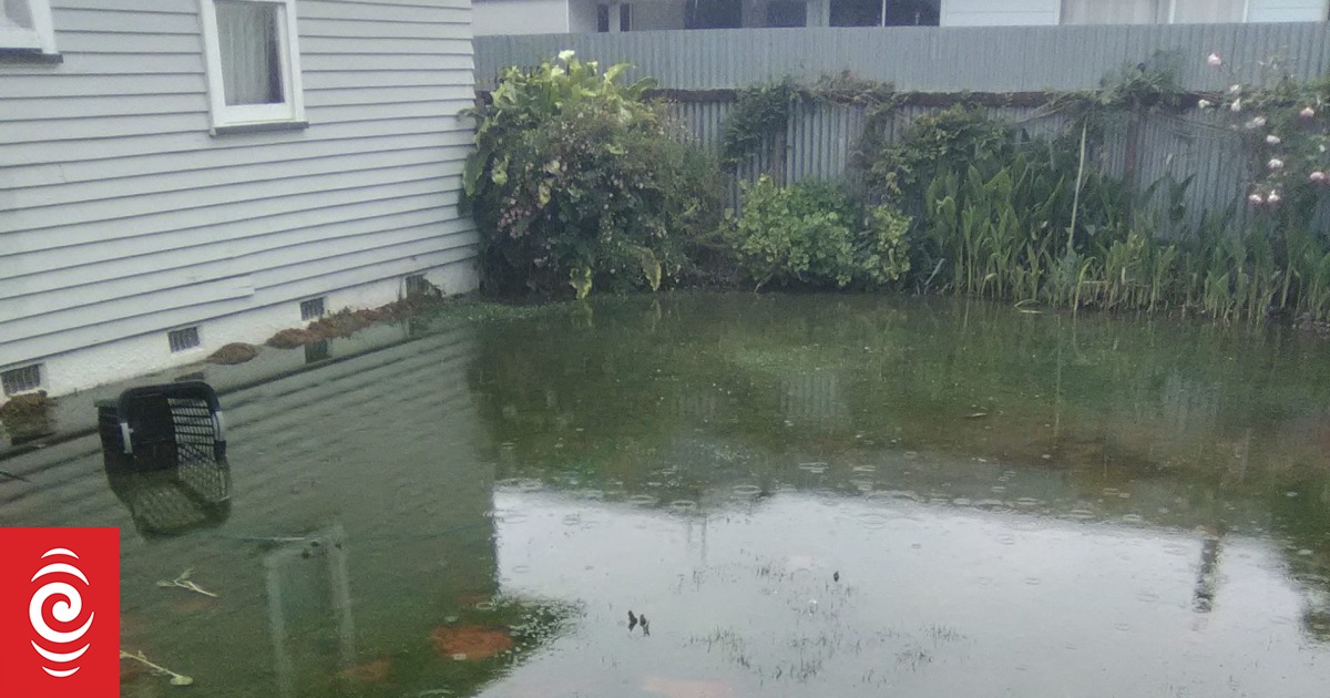 Plumbing mistakes key cause of sewage in flooded Masterton backyards - Vimarsana News