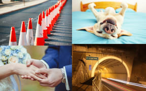 What do you do with all those road cones, where do you get a wife, what do you do about your dog's name, and why do people toot in the Mt Vic tunnel?