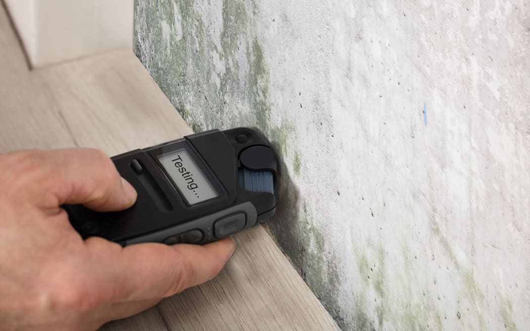 Person Hand Measuring The Wetness Off A Moldy Wall