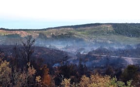 The 91-hectare fire was mostly in young pines and slash.