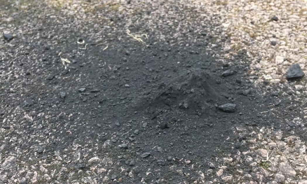 The Winchcombe meteorite
