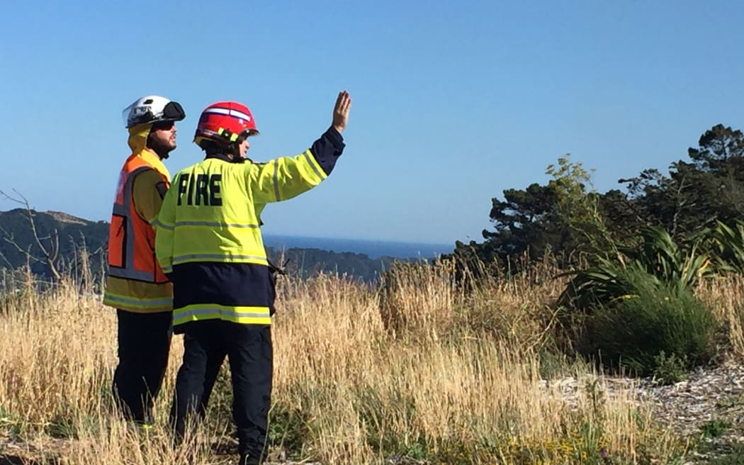 Firefighters at the Wadestown fire