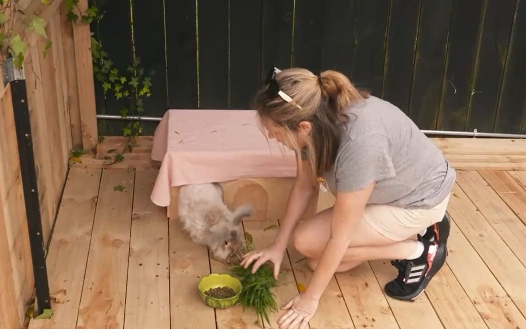 Jojo Nally has a team of 60 volunteers who take care of the rabbits until they are ready for adoption.
