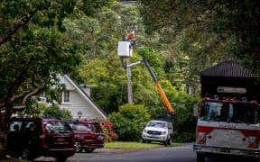 Lowry bay powerline down 18/02/26