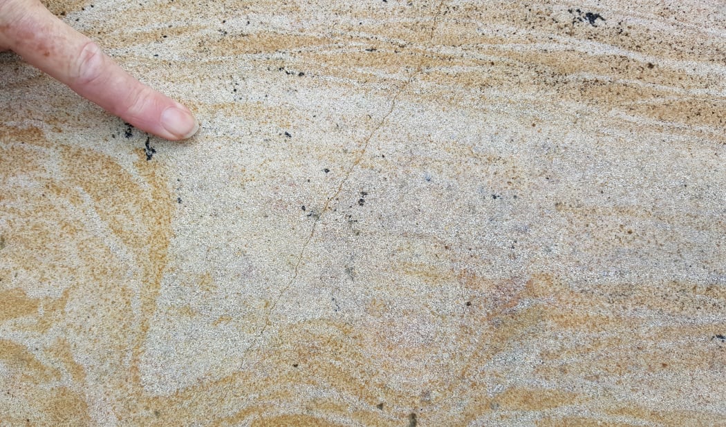 Moa footprint