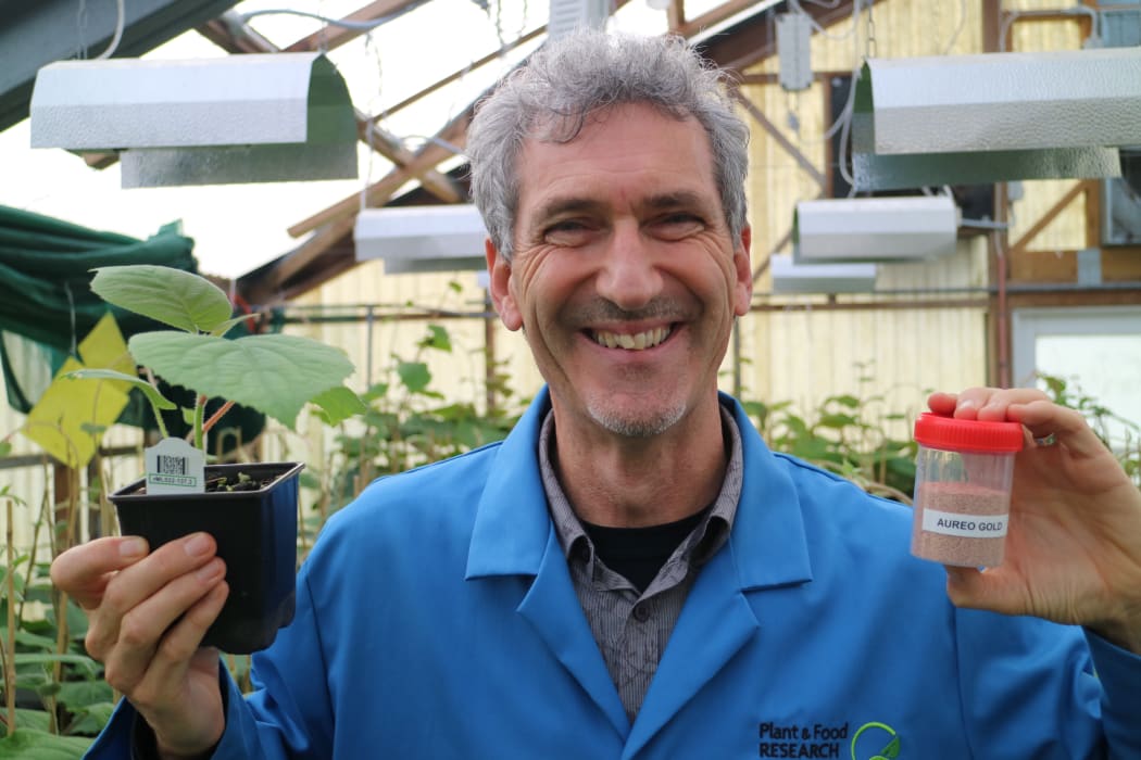 Dr Philip Elmer, holding a sample of the latest bio-bactericide for control of Psa in kiwifruit, and an experimental potted ‘Hayward’ kiwifruit plant that will be used in experiments