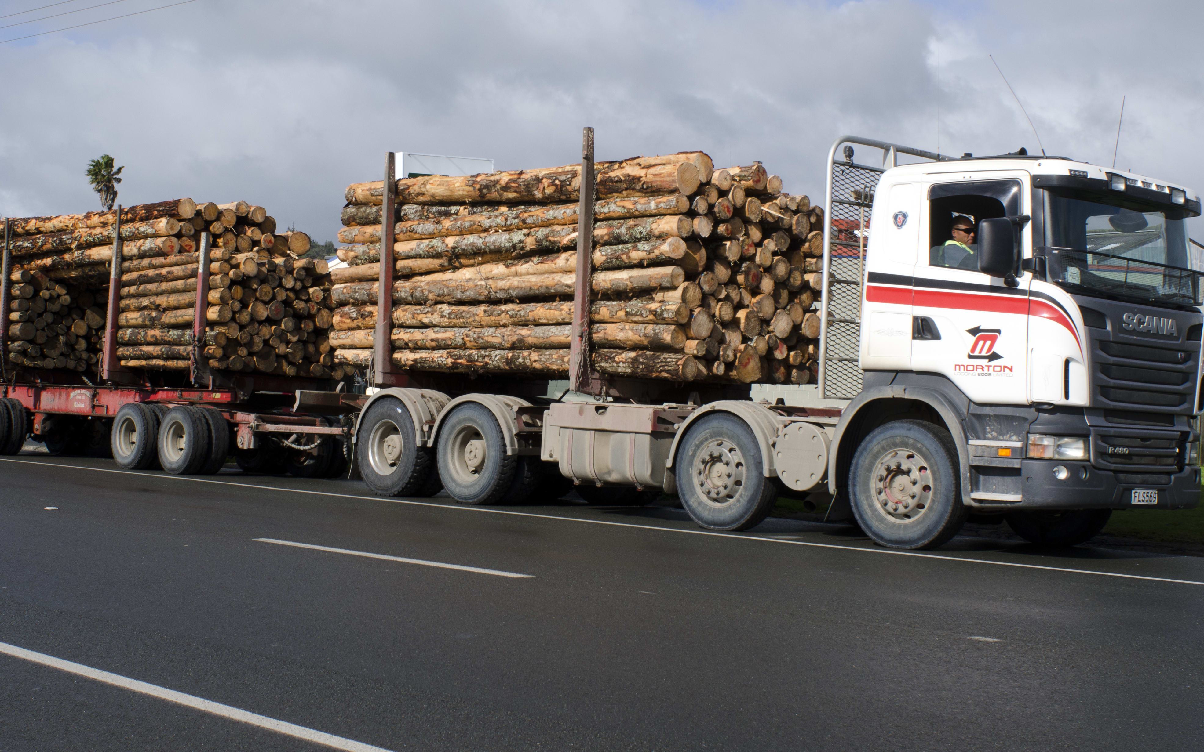 Tree trunks on a logging truck on 29 August 2013 in Kaitaia, Northland.