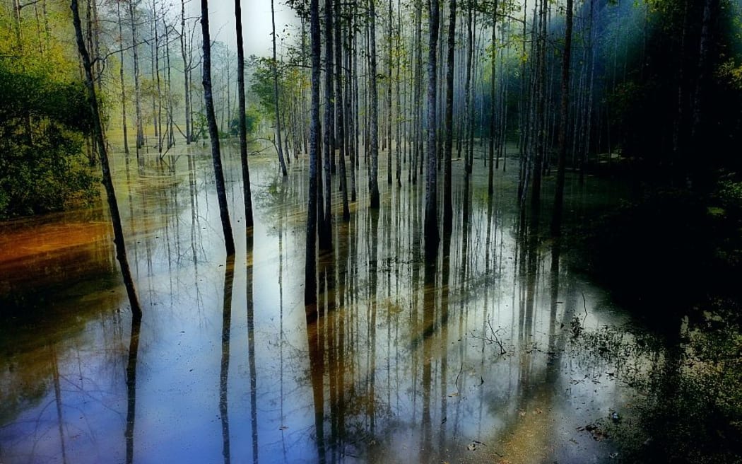 Cambodia