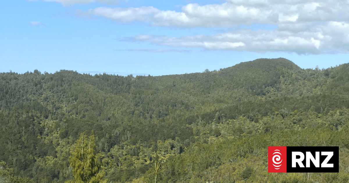 Community group wins court battle against multinational gold mining company