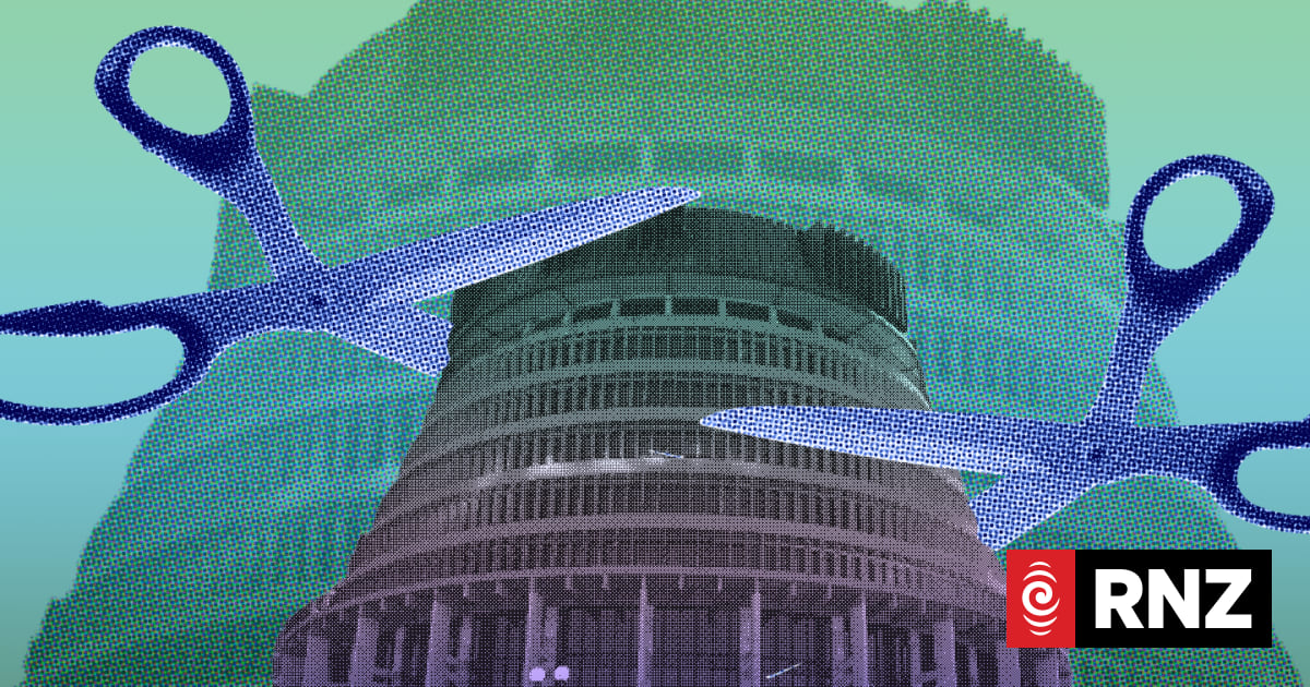 MBIE chief denies attempt to mislead Parliament over failed 