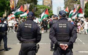 Pro-Palestinian protesters gather at Sydney's Hyde Park. Protesters plan to rally at Town Hall on Monday.