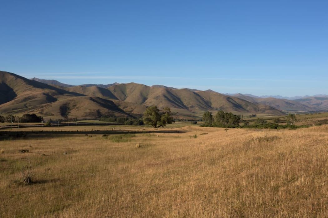 Jollies Hill in Southland in early December.