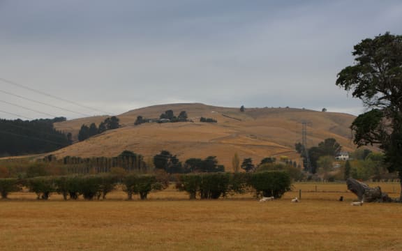 Banks Peninsula farmers are hoping for rain