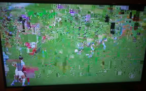 Interference seen on one Spark Sport user's screen during the Argentina v Tonga match.