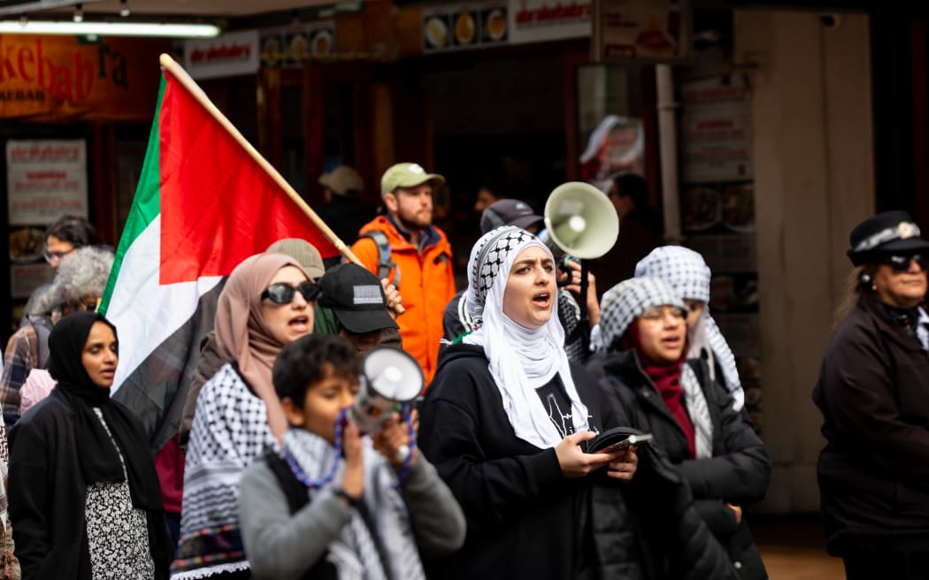 Wellington Gaza protest
