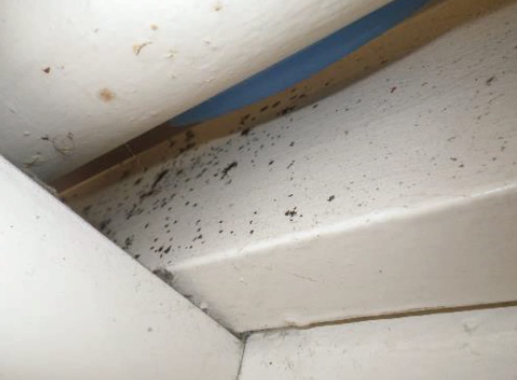 Black fungus spots on the ceiling of C Block.