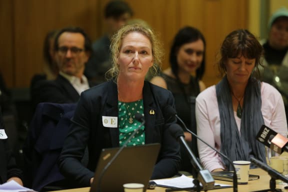 Rose Renton speaking to MPs about her petition to decriminalise cannabis for medicinal use.