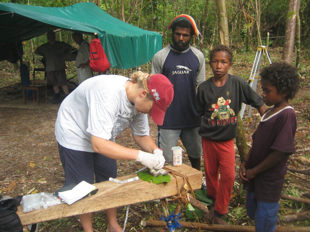 Professor Lisa Matisoo-Smith dissecting a rat on Emirau Island, Papua New Guinea.