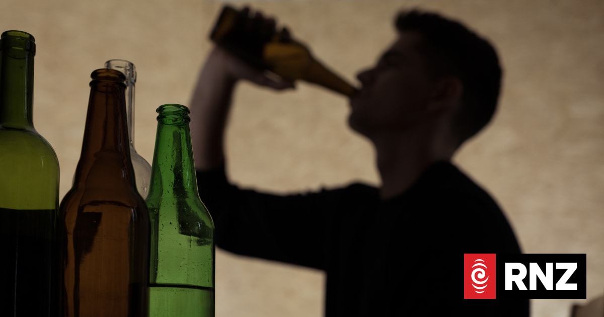 Dunedin student drinking issues can't be solved by arrests - local police