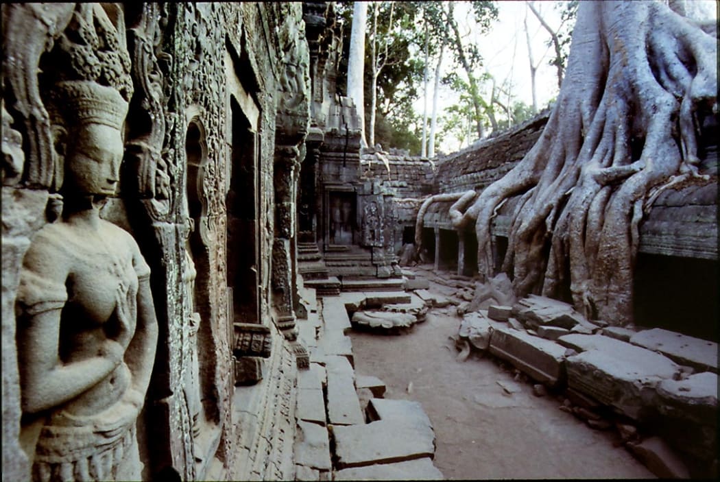The jungle is gradually swallowing the ruins of Ta Prohm, one of the temples at Angkor in Siem Reap, Cambodia.
