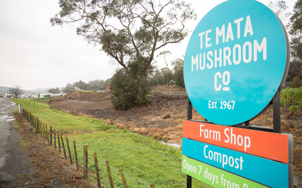 Te Mata Mushroom Company in Havelock North