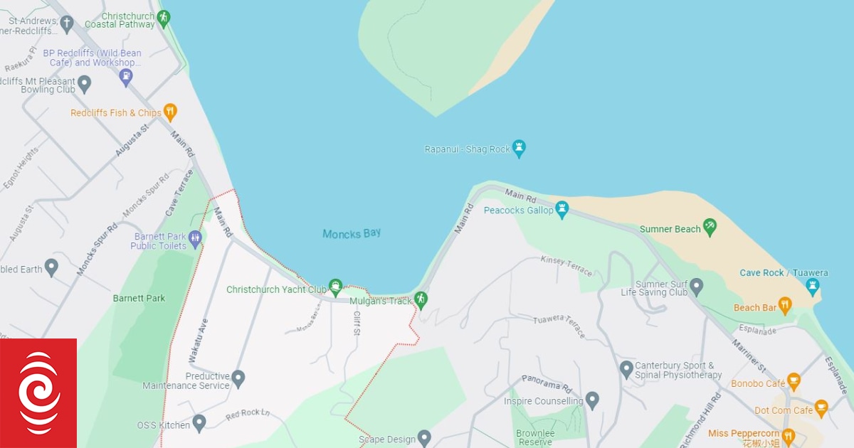 Large whale stranded in Canterbury estuary - Vimarsana News