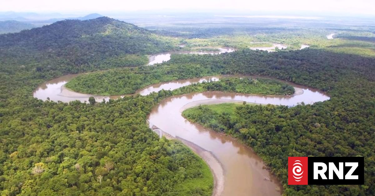 'Project Sepik' calls for PNG Govt to halt Frieda mining project | RNZ