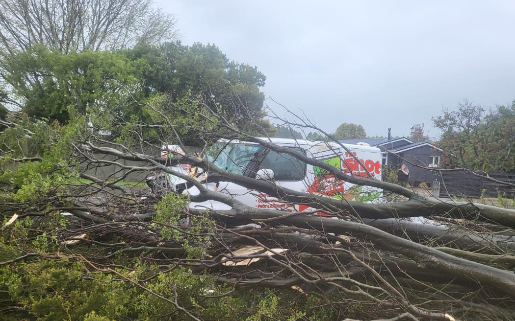 The Shot South owner Justine Abbott said she was on North Road when the tree "came out of nowhere."