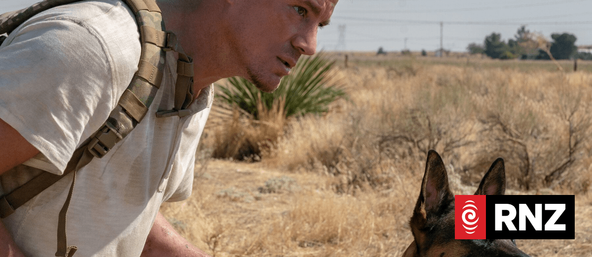 Movie Review - Dog | RNZ