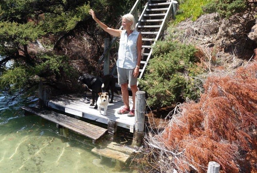 Franks jetty: Cathy Franks and the pet pooches on the jetty below the family's Awaroa home.