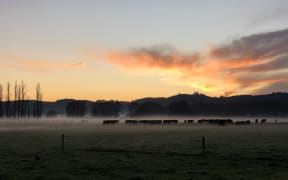 Sunrise in Waikato