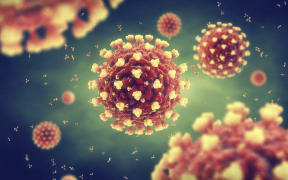 Coronavirus particles, illustration. Different strains of coronavirus are responsible for diseases such as the common cold, gastroenteritis and SARS (severe acute respiratory syndrome). The new coronavirus SARS-CoV-2 (previously 2019-CoV) emerged in Wuhan, China, in December 2019.