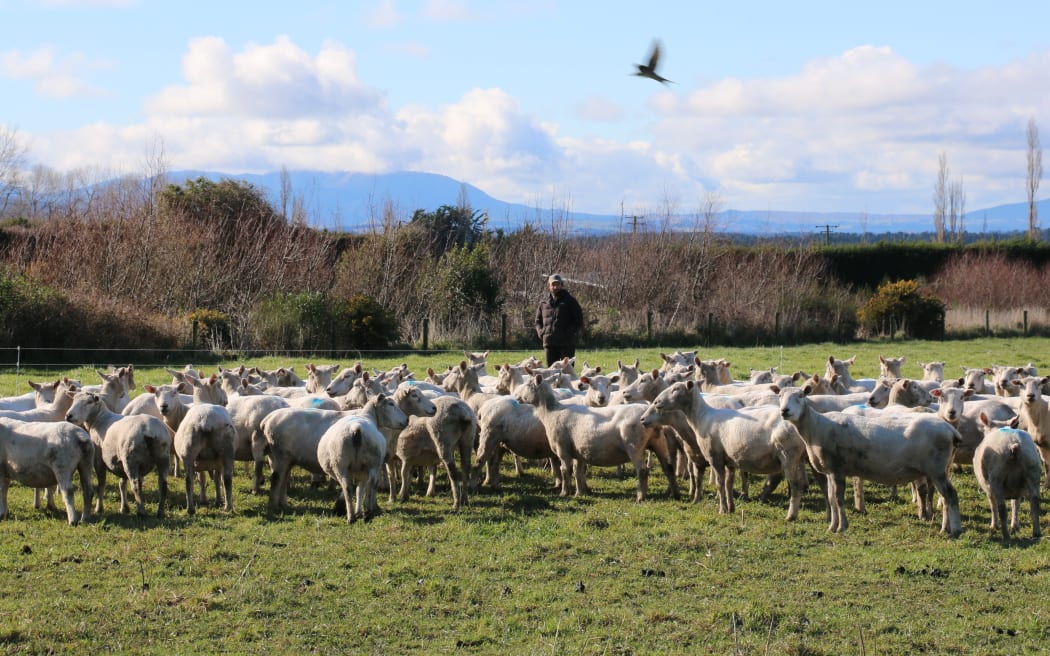 A Year on the Farm Country Life series with Alistair & Genna Bird