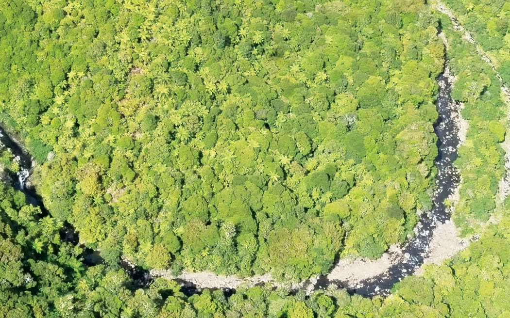 The land at the centre of the campaign.