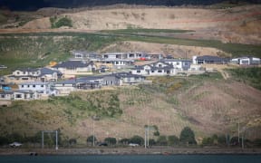 Housing development north of Porirua.