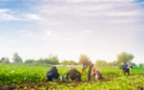 Migrant workers generic