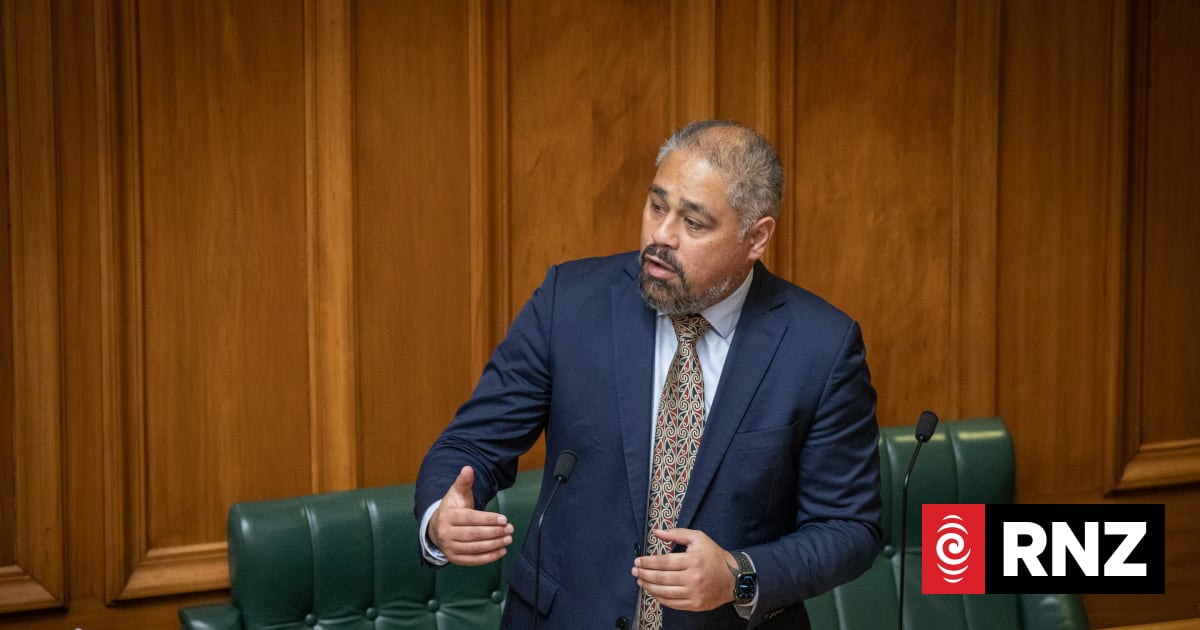 Ex-military MPs vocal on Inspector General Bill | RNZ