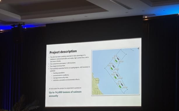 Aquaculture sector urged to seize export opportunities in India | RNZ