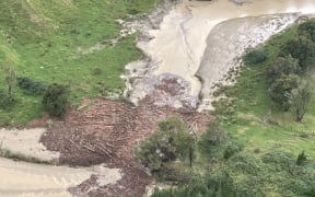 Forestry slash in a river north of the Anaura Bay turnoff on SH 35 near Gisborne