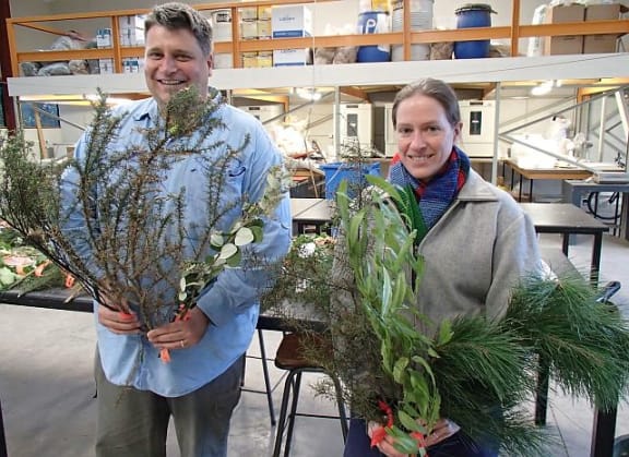 Tim Curran and Sarah Wyse with bouquets of native and introduced plants: they are testing the flammability of different species used in green shelter belts.