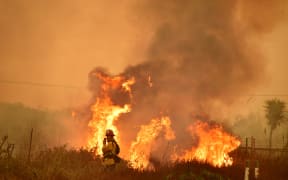 Flames near the US 101 highway in Ventura County.