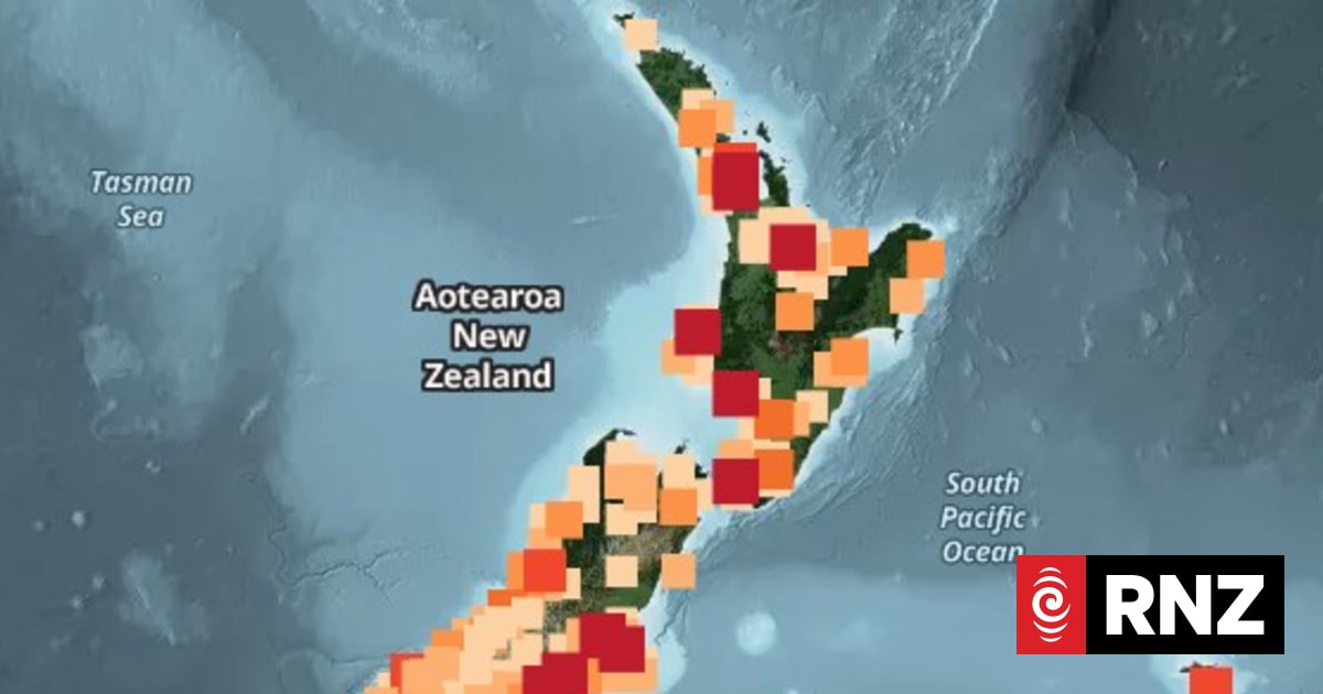 'Felt like a truck': Locals describe 5.9 magnitude Southland earthquake
