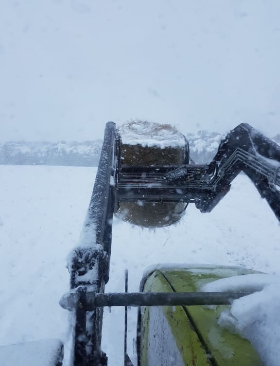 Michael Proude puts feed out on in the snow near Waiouru.