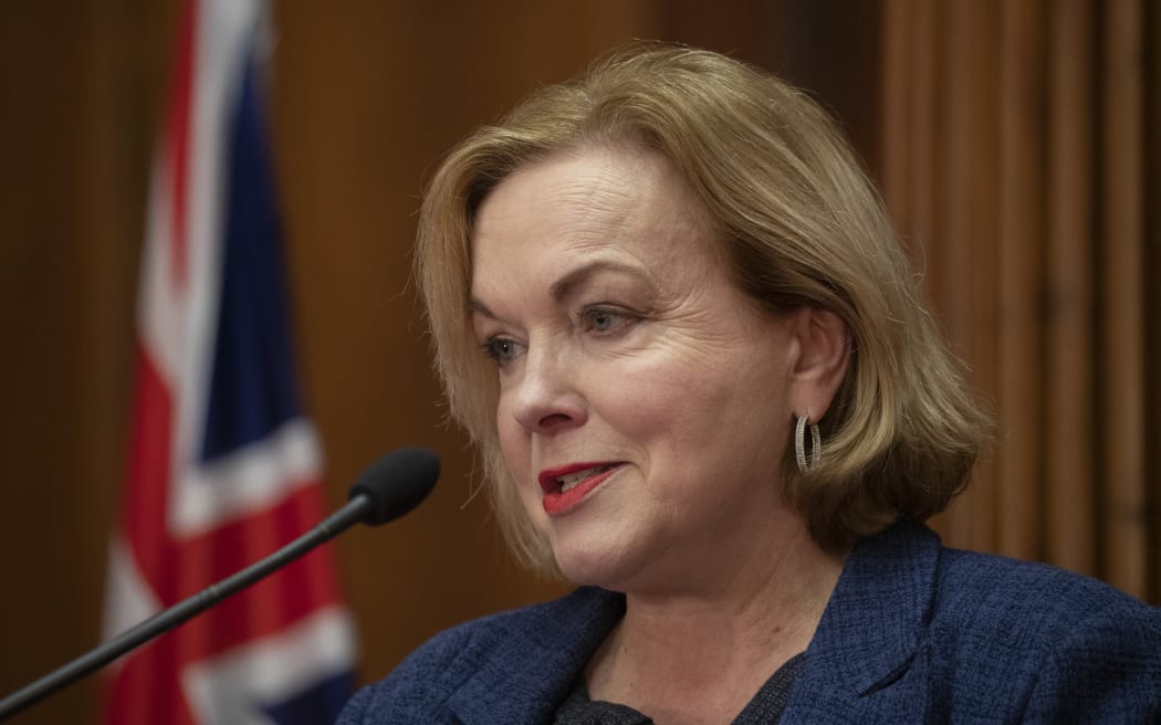 National leader Judith Collins during her press conference at Parliament.