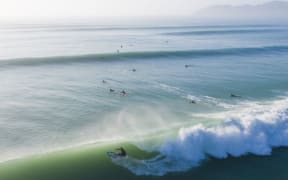 A detail from the cover of 'Surf Dreams' by Derek Morrison