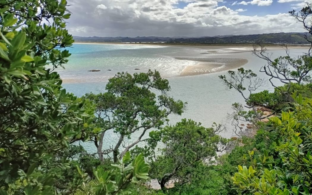 Ngunguru sandspit