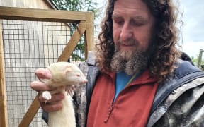 Billy Barton is allowed to keep a maximum of three neutered ferrets which he uses in his pest control work
