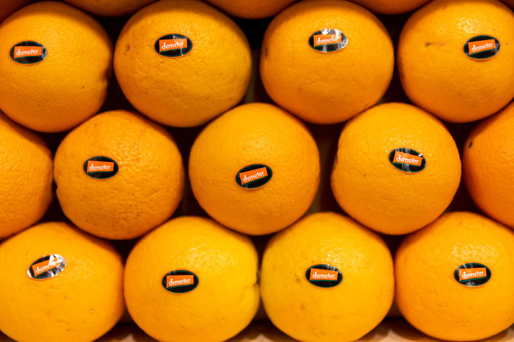 26 July 2022, Bavaria, Nuremberg: Organic oranges with Demeter stickers lie in a crate at the stand of the same name at the Biofach trade fair. The world's leading trade fair for organic food and the trade fair for natural cosmetics, Vivaness, were postponed from February to July due to corona. Photo: Daniel Karmann/dpa (Photo by DANIEL KARMANN / DPA / dpa Picture-Alliance via AFP)