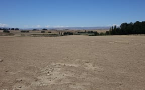 Bone dry Central Otago.